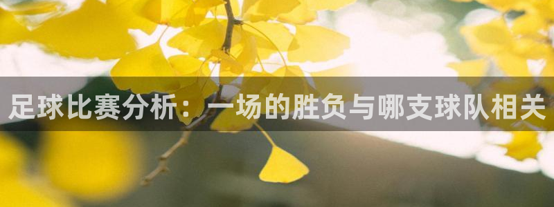 足球比赛分析：一场的胜负与哪支球队相关