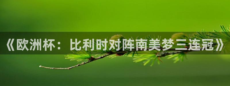  《欧洲杯：比利时对阵南美梦三连冠》