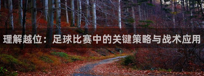  理解越位：足球比赛中的关键策略与战术应用