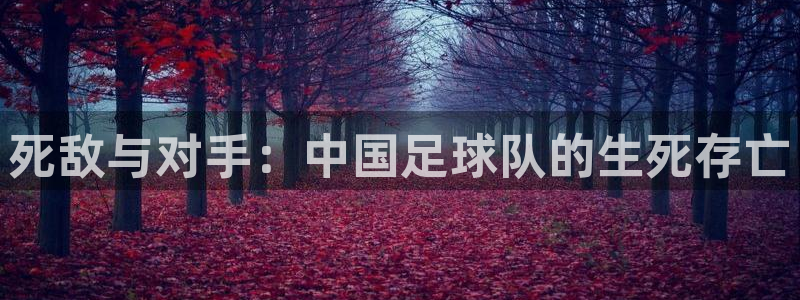  死敌与对手：中国足球队的生死存亡