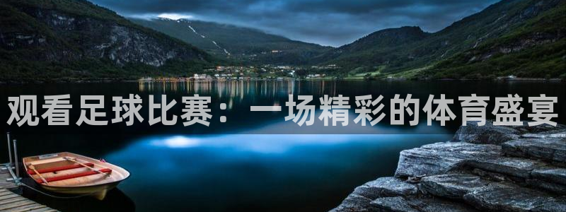 观看足球比赛：一场精彩的体育盛宴
