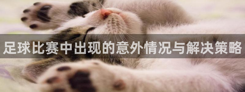  足球比赛中出现的意外情况与解决策略