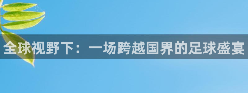 全球视野下：一场跨越国界的足球盛宴