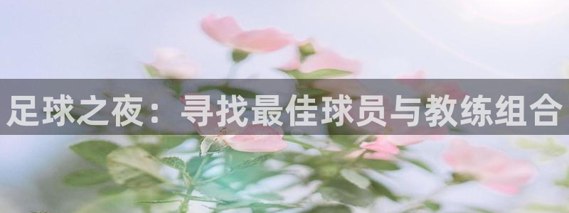  足球之夜：寻找最佳球员与教练组合