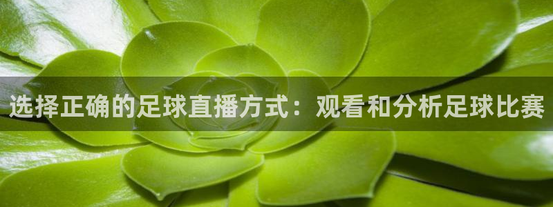  选择正确的足球直播方式：观看和分析足球比赛