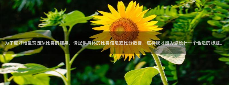 为了更好地呈现足球比赛的结果，请提供具体的比赛信息或比分数据