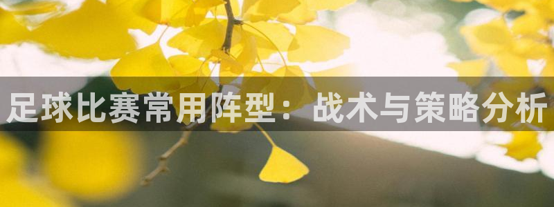  足球比赛常用阵型：战术与策略分析