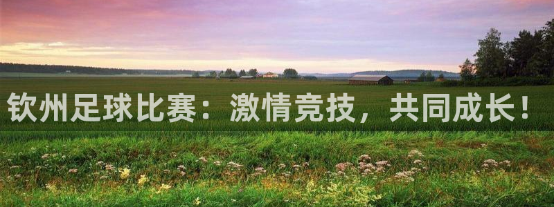 钦州足球比赛：激情竞技，共同成长！