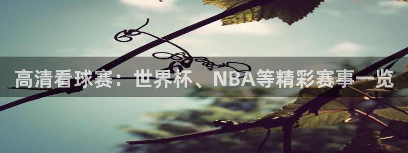 高清看球赛：世界杯、NBA等精彩赛事