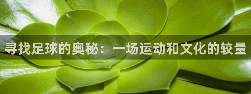 寻找足球的奥秘：一场运动和文化的较量