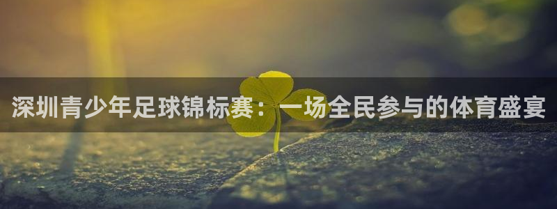 深圳青少年足球锦标赛：一场全民参与的