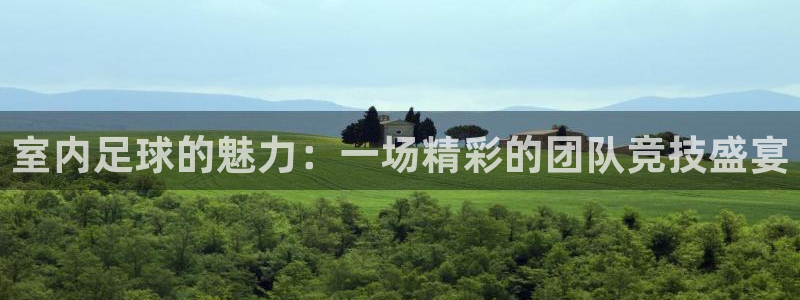 室内足球的魅力：一场精彩的团队竞技盛