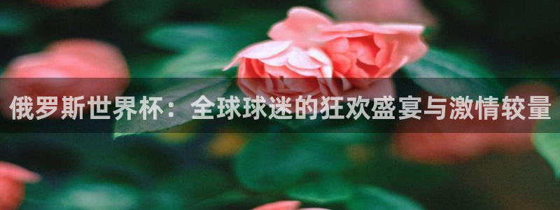 俄罗斯世界杯：全球球迷的狂欢盛宴与激