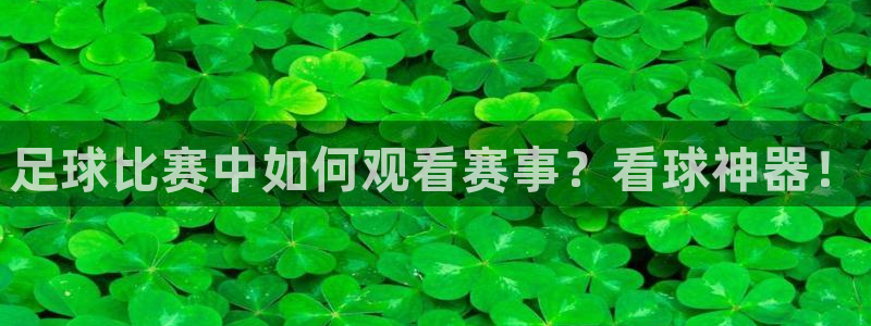 足球比赛中如何观看赛事？看球神器！