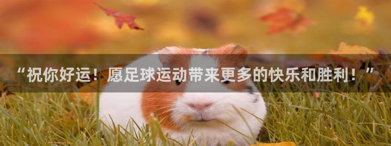 “祝你好运！愿足球运动带来更多的快乐