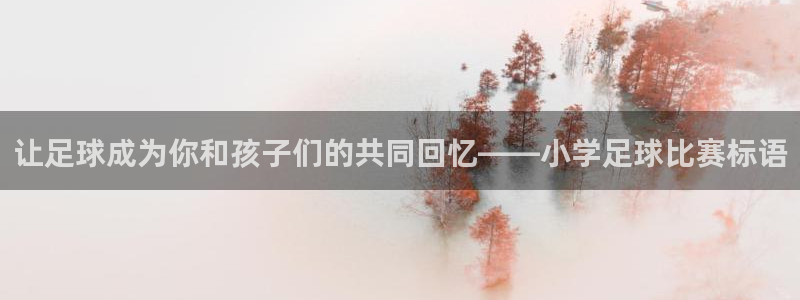 让足球成为你和孩子们的共同回忆——小