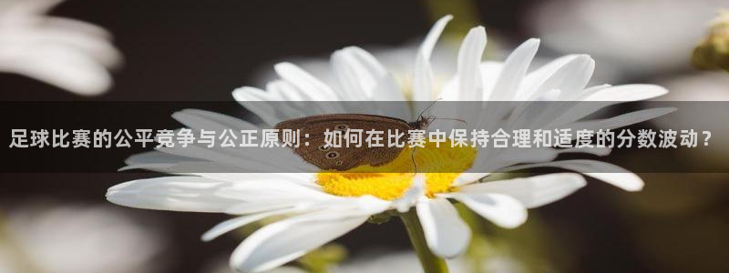 足球比赛的公平竞争与公正原则：如何在
