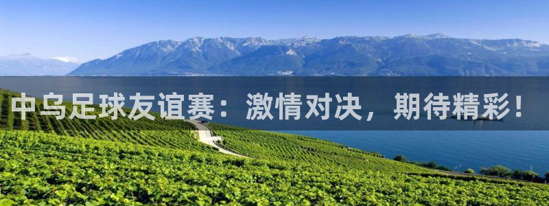 中乌足球友谊赛：激情对决，期待精彩！