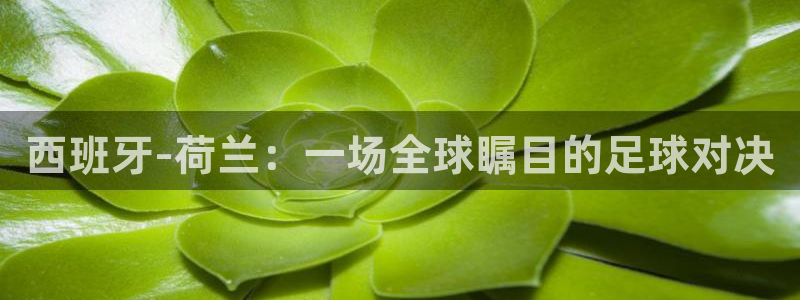 西班牙-荷兰：一场全球瞩目的足球对决