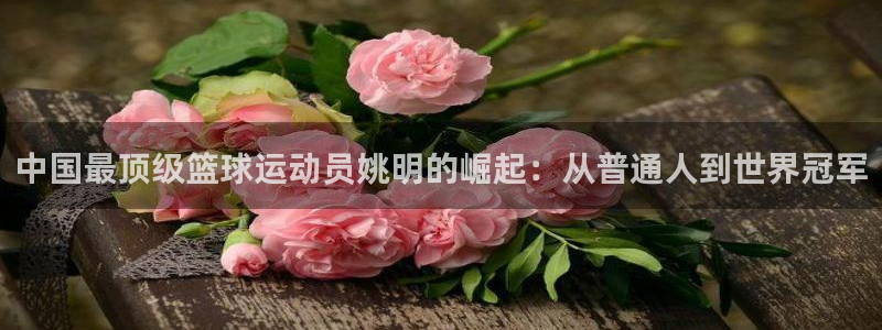 球速体育：中国最顶级篮球运动员姚明的崛起：从普通人到世界冠军