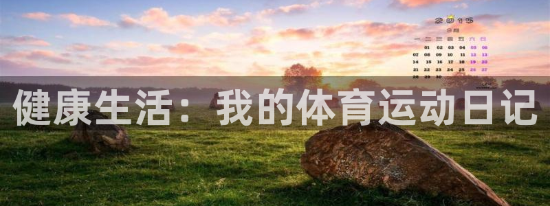 球速体育：健康生活：我的体育运动日记