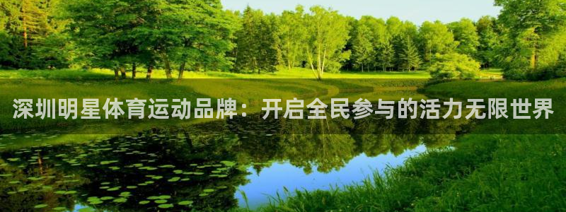 球速体育：深圳明星体育运动品牌：开启全民参与的活力无限世界