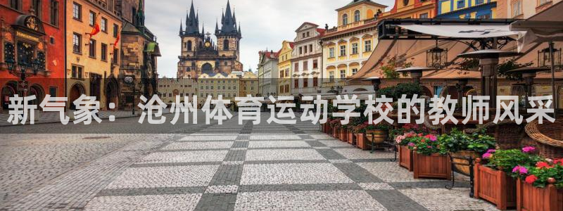 球速体育：新气象：沧州体育运动学校的教师风采