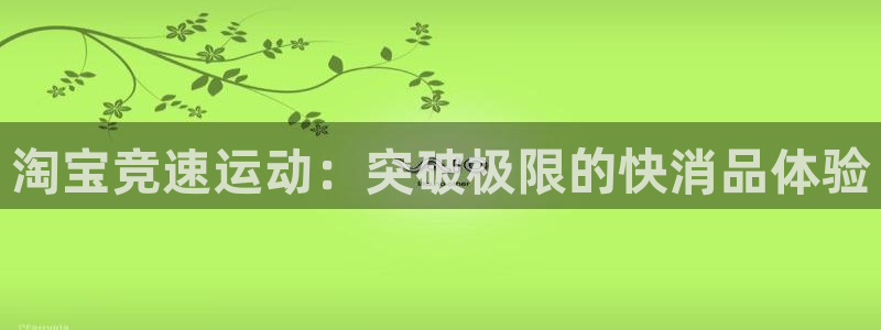 球速体育：淘宝竞速运动：突破极限的快消品体验
