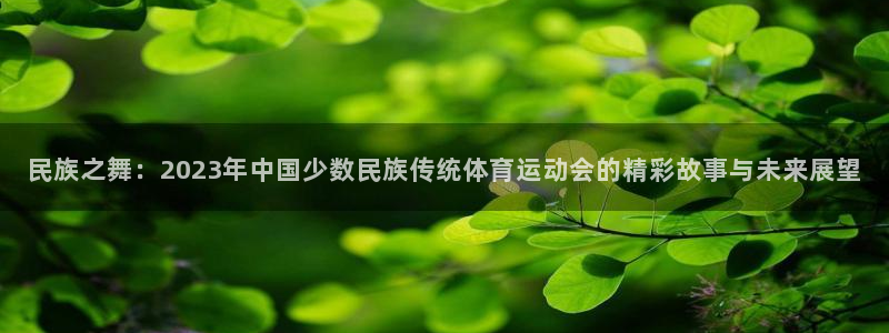 球速体育：民族之舞：2023年中国少数民族传统体育运动会的精彩故事与未来展望
