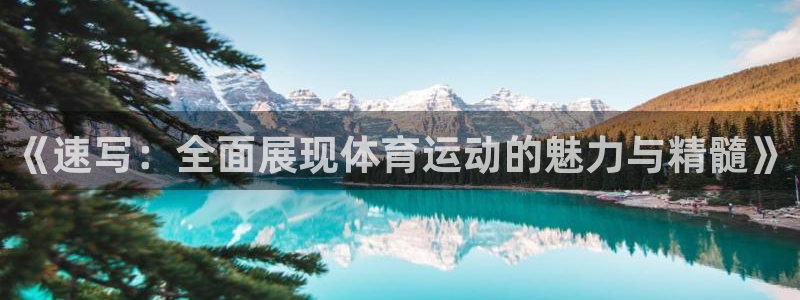 球速体育：《速写：全面展现体育运动的魅力与精髓》