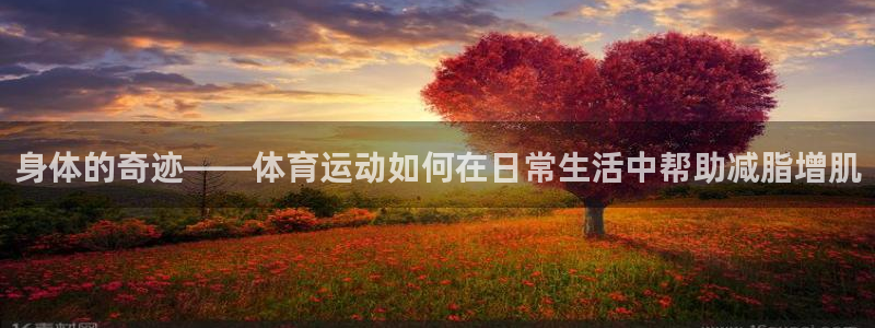 球速体育：身体的奇迹——体育运动如何在日常生活中帮助减脂增肌