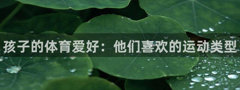 球速体育：孩子的体育爱好：他们喜欢的运动类型