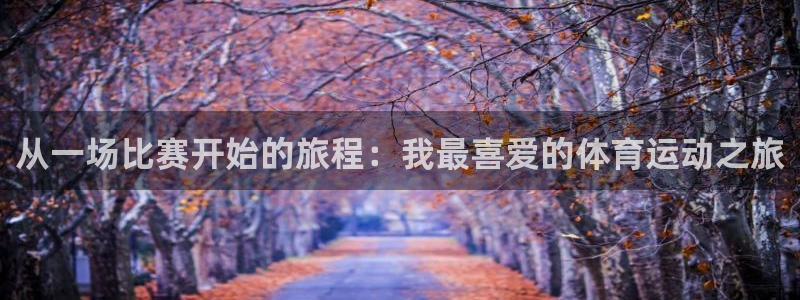 球速体育：从一场比赛开始的旅程：我最喜爱的体育运动之旅