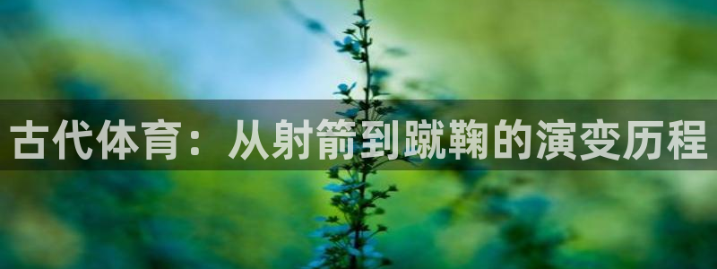 球速体育：古代体育：从射箭到蹴鞠的演变历程